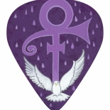 Prince BIG guitar pic